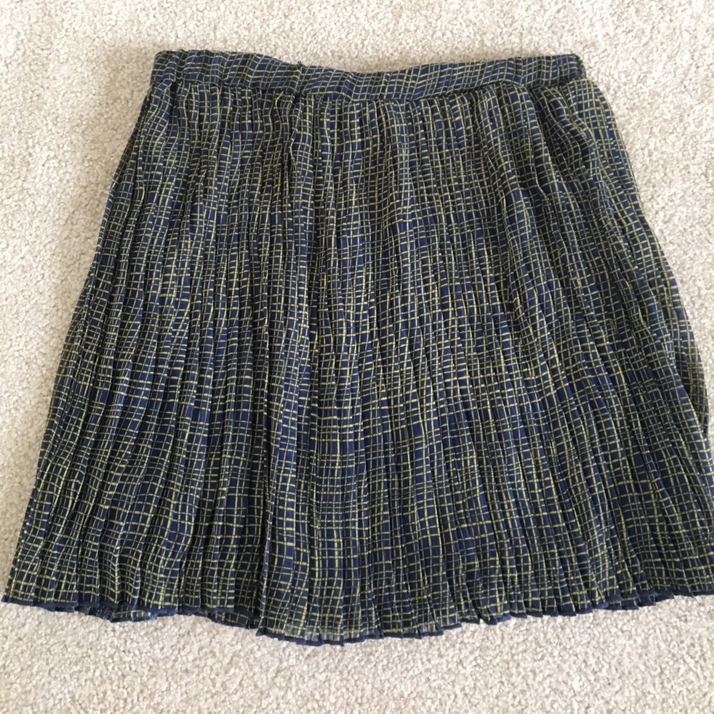 Francesca’s Pleated Skirt